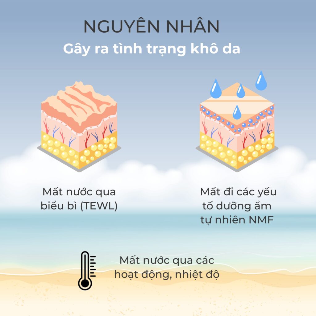 bí kíp vượt cạn ngày hè dành cho da khô & nhạy cảm nguyen nhan