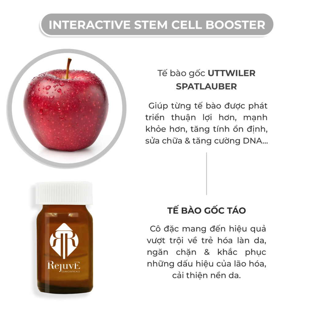 STEM CELL BOOSTER_chong lao hoa