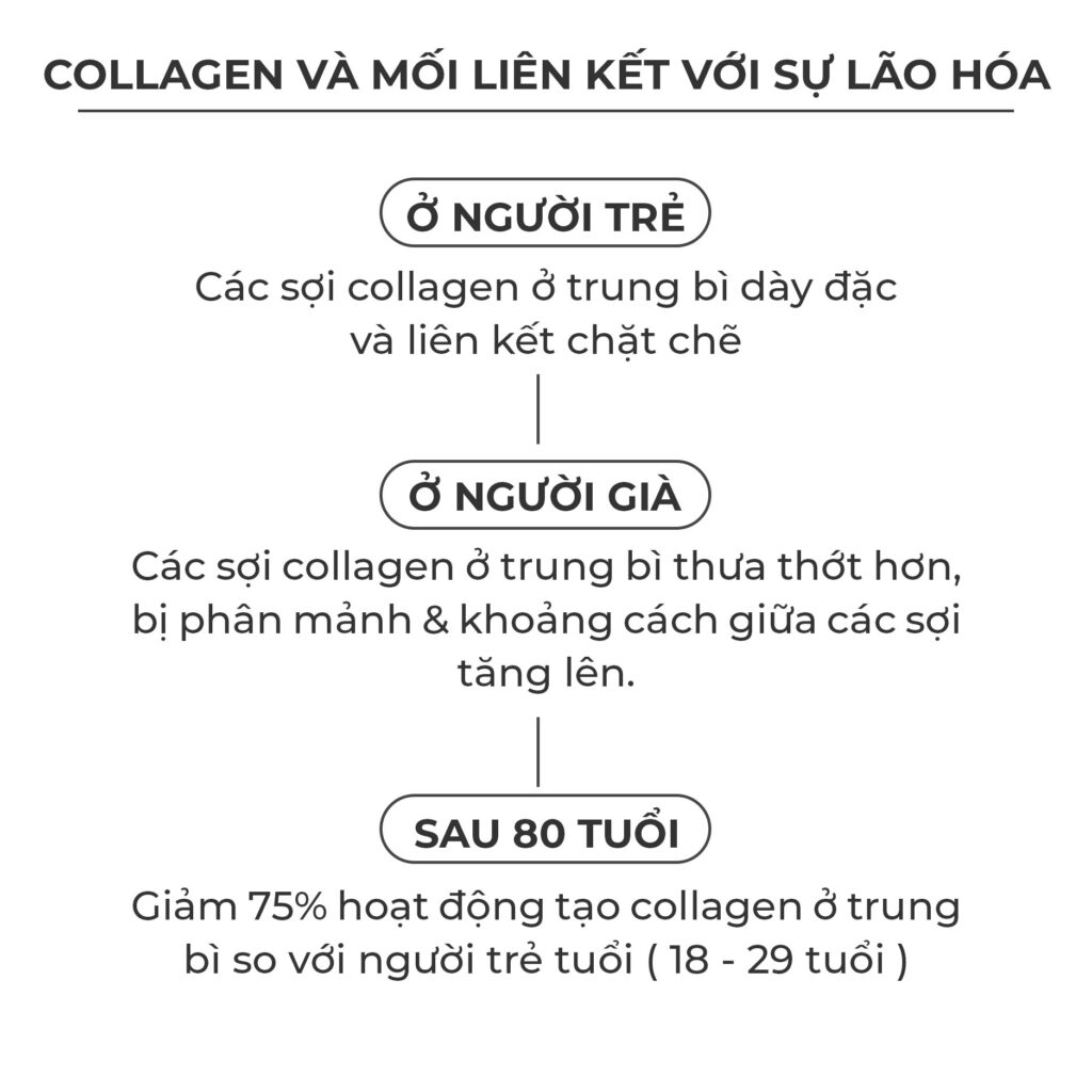 Bac thay cai thien nen da rejuve xfolia - collagen