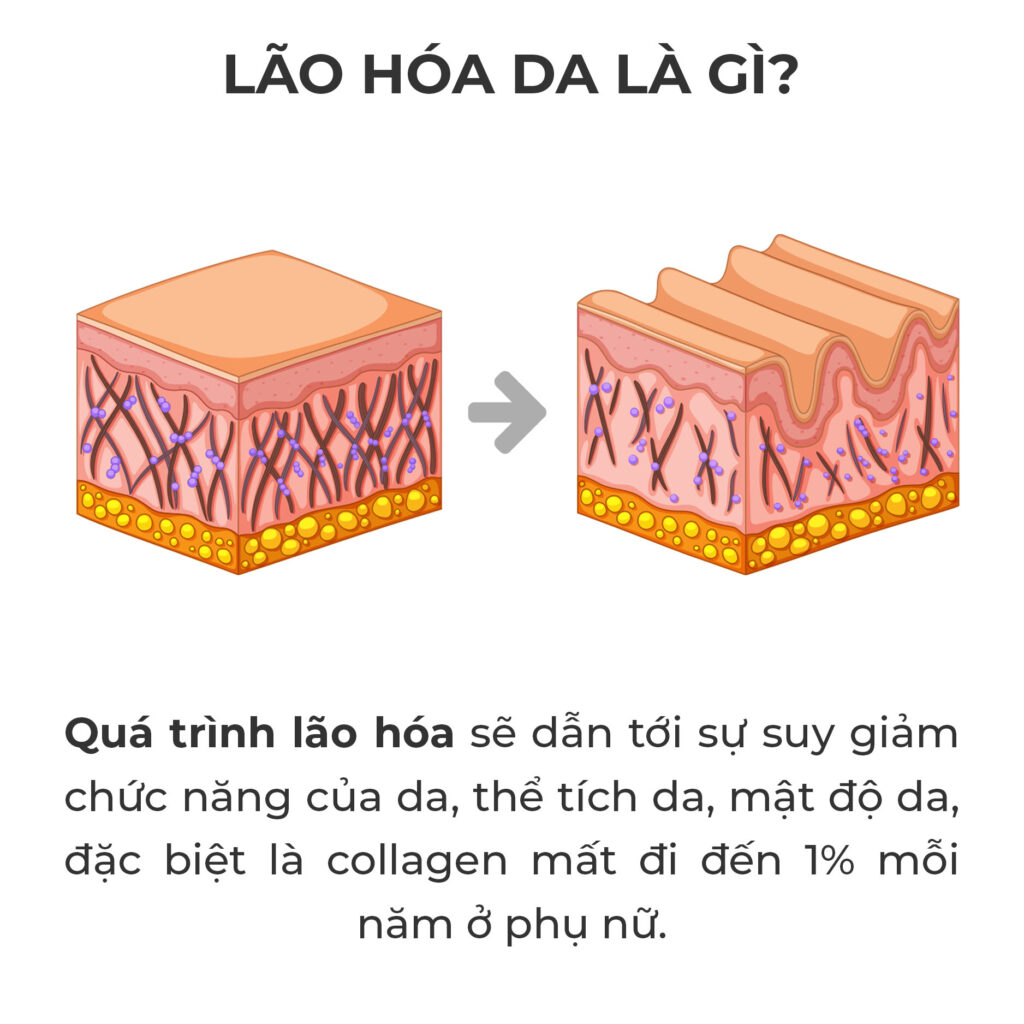 Bac thay cai thien nen da rejuve xfolia - lao hoa da la gi