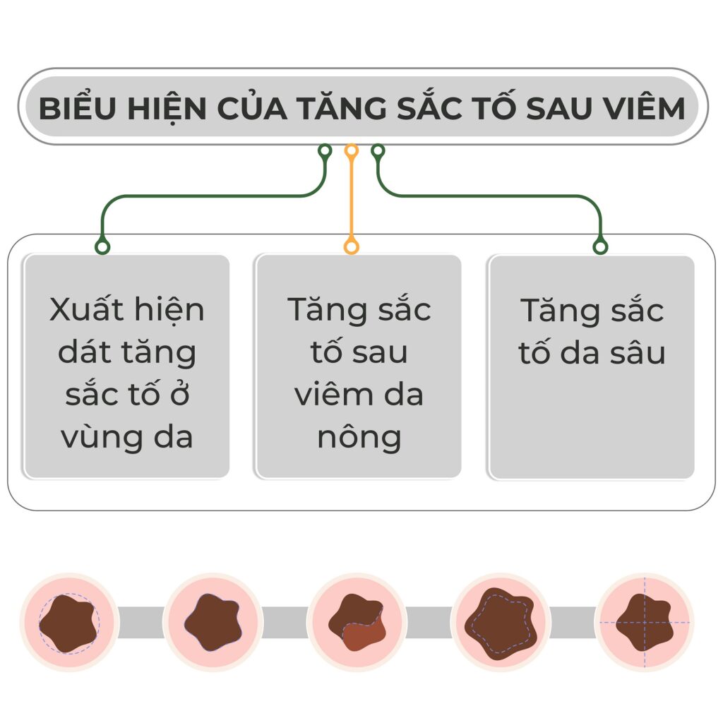 biểu hiện tăng sắc tố sau viêm rejuve