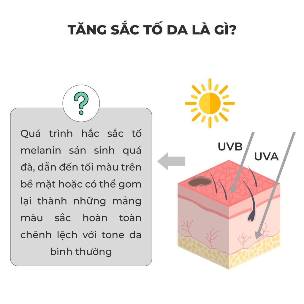 tang sac to da la gi