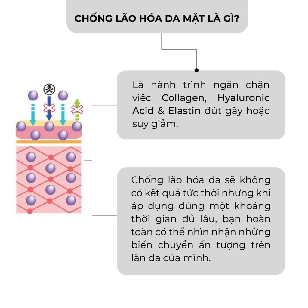 Blog_chống lão hóa da mặt-05