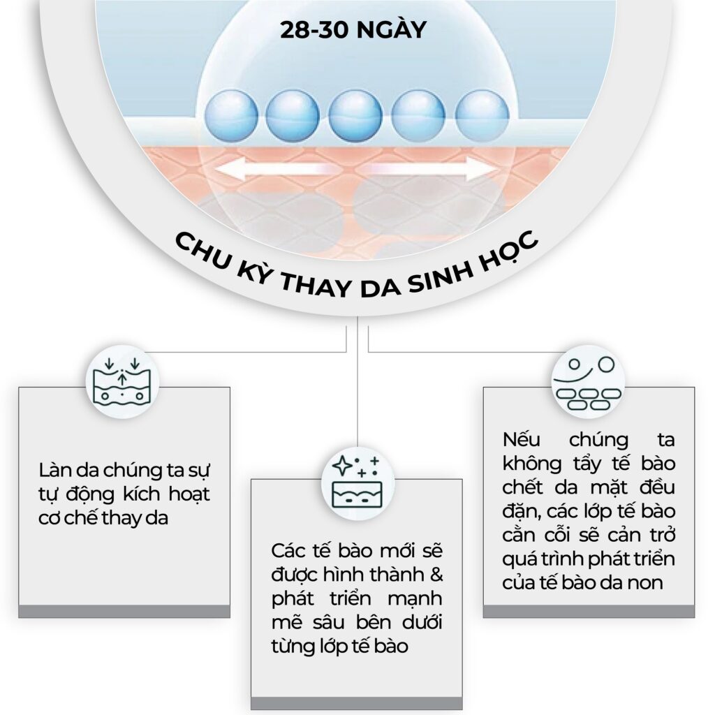 Blog_tẩy tế bào chết mặt cho da dầu mụn-03