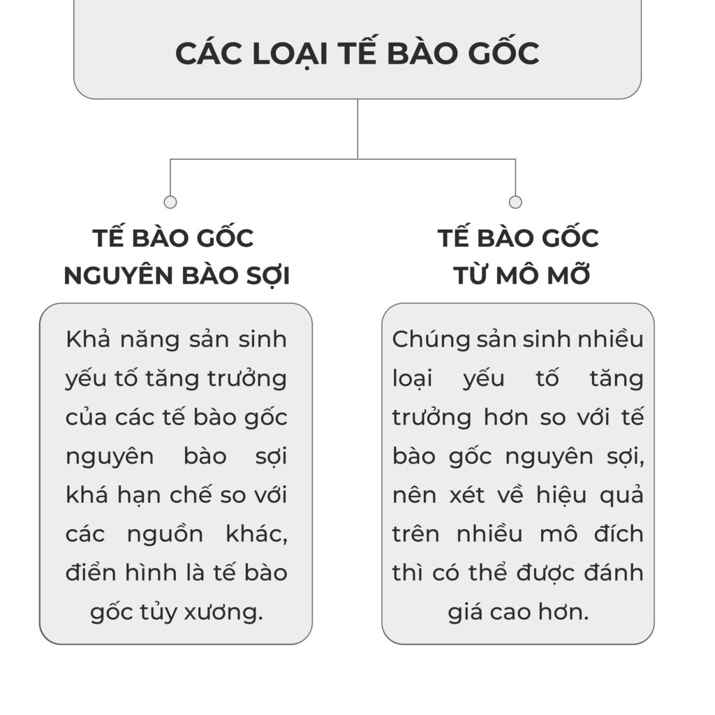 CÁC LOẠI TẾ BÀO GỐC TỐT NHẤT 