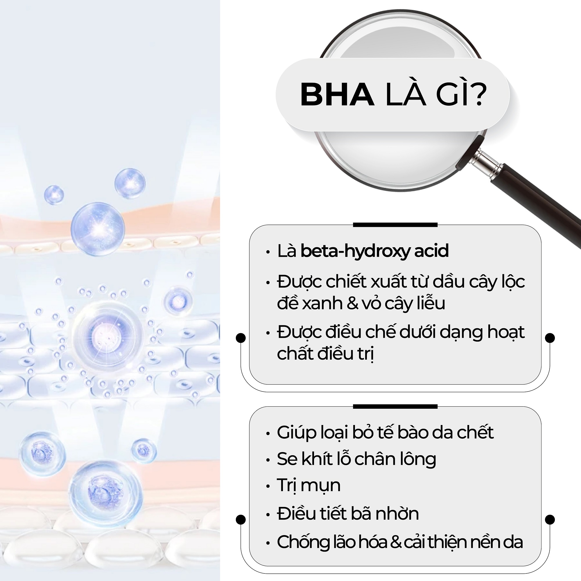 SALICYLIC ACID (BHA) VÀ TÁC DỤNG CỦA BHA DƯỚI GÓC NHÌN ĐA CHIỀU – Rejuve