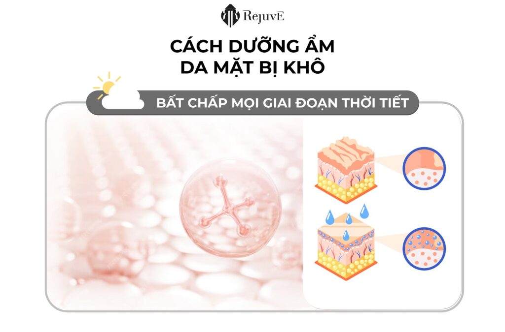 dưỡng ẩm da mặt bị khô-thumb rejuve